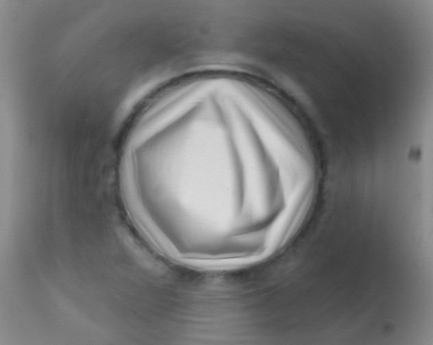 X0000113861360200910151226