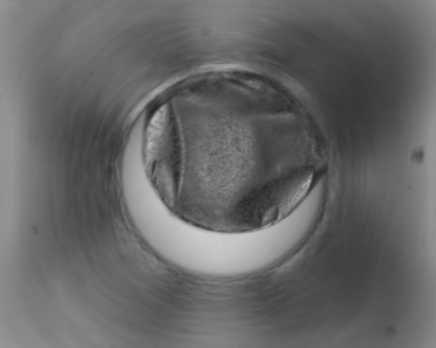 X0000113861361200910151226