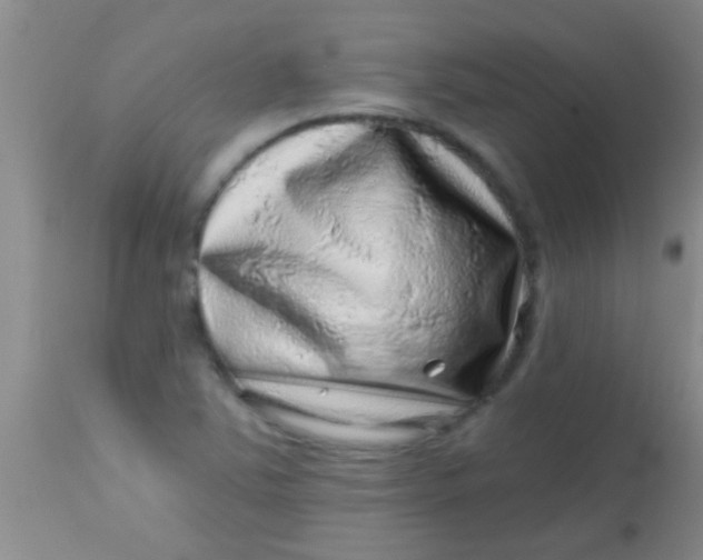 X0000113861363200910151226