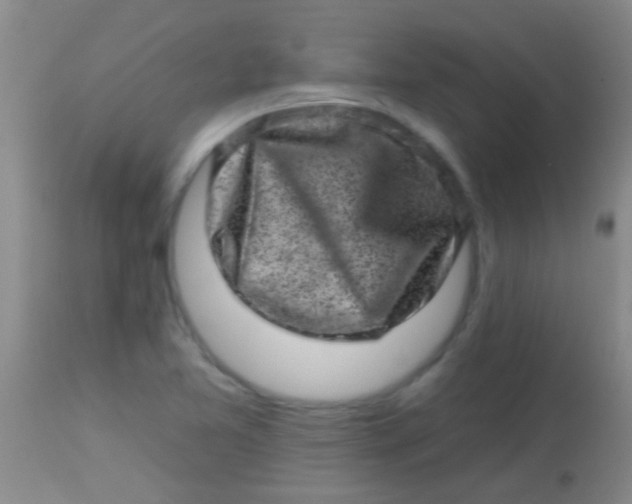 X0000113861365200910151226