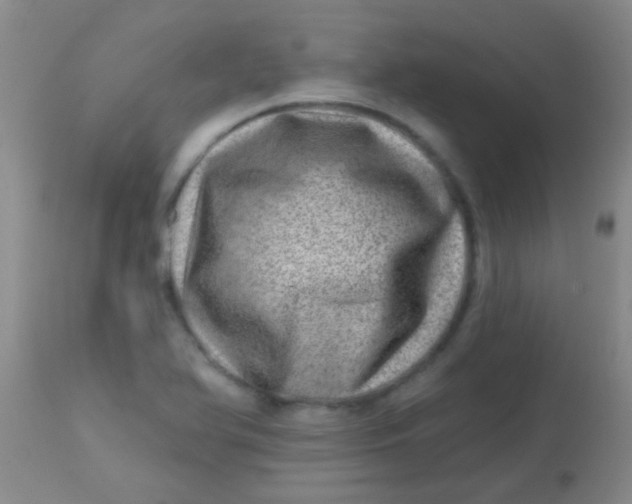 X0000113861366200910151226