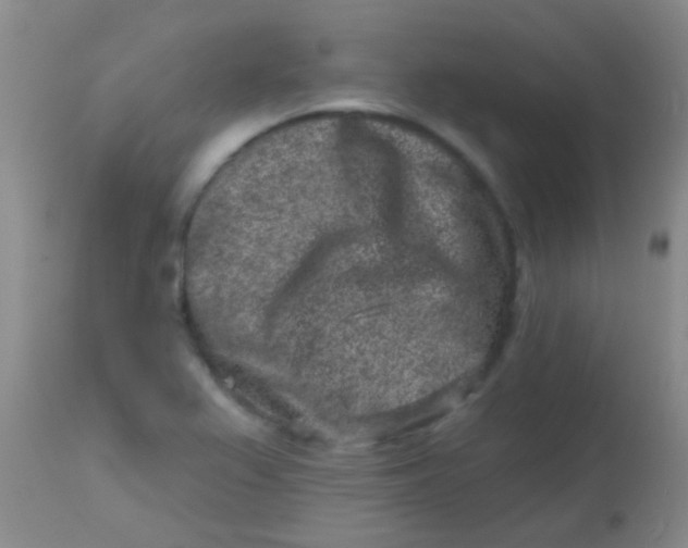 X0000113861367200910151226