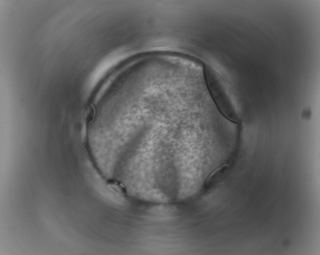 X0000113861368200910151226
