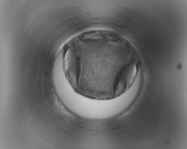 X0000113861369200910151226
