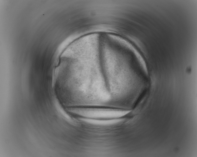 X0000113861371200910151226