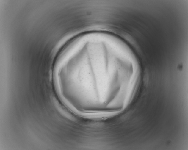 X0000113861372200910151226