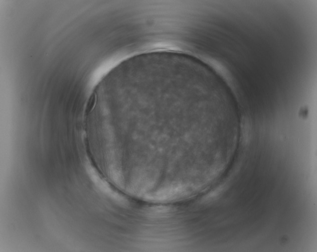 X0000113861373200910151226
