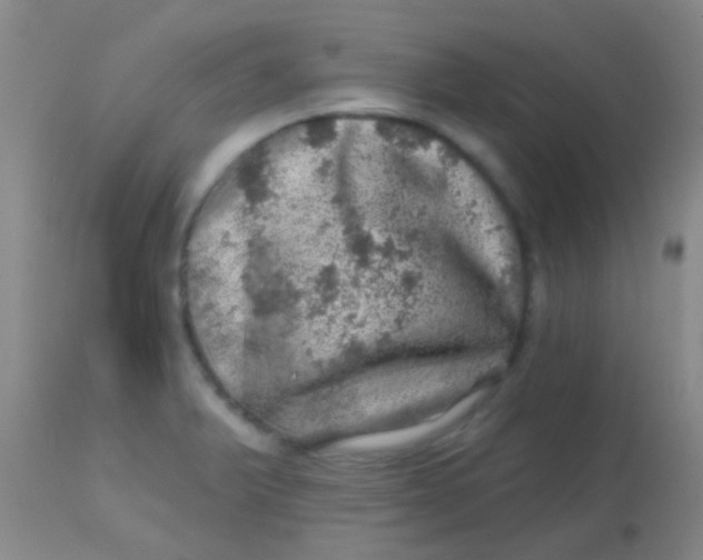 X0000113861375200910151226