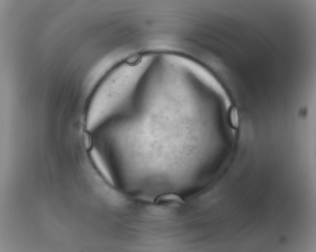 X0000113861376200910151226