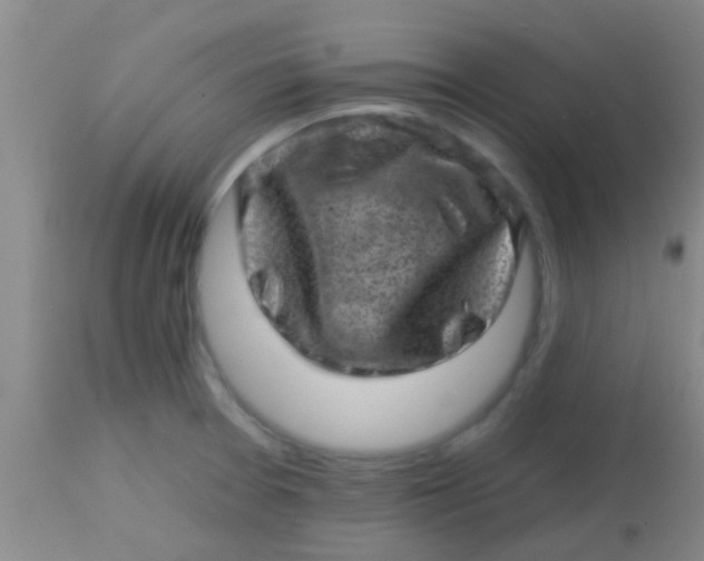 X0000113861377200910151226