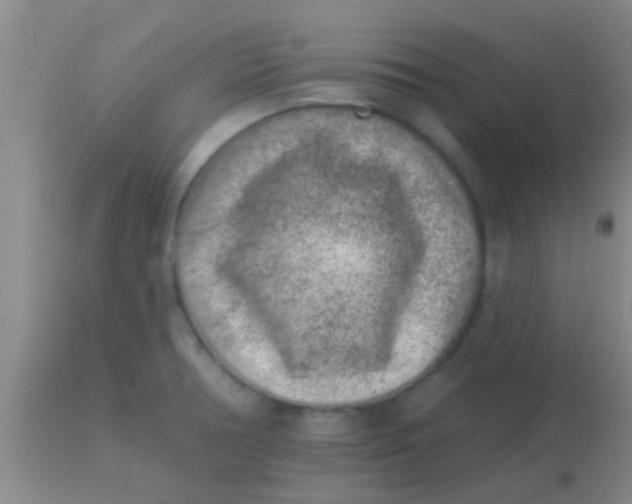 X0000113861378200910151226