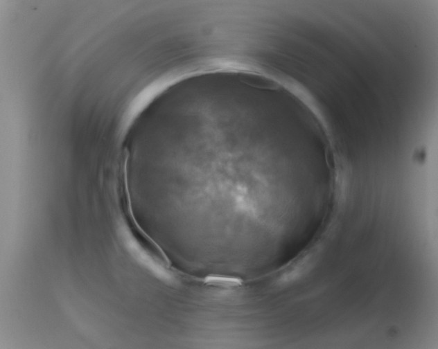 X0000113861381200910151226
