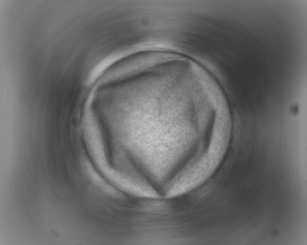 X0000113861382200910151226