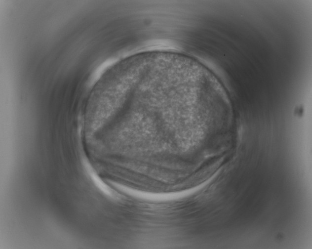X0000113861383200910151226