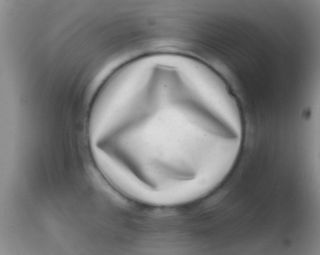 X0000113861384200910151226