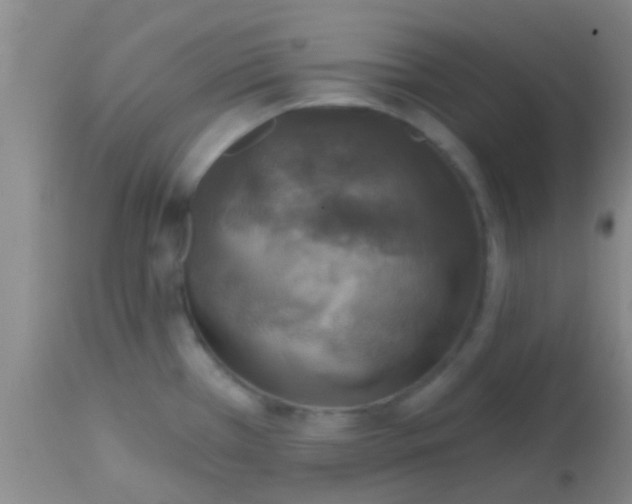 X0000113861385200910151226