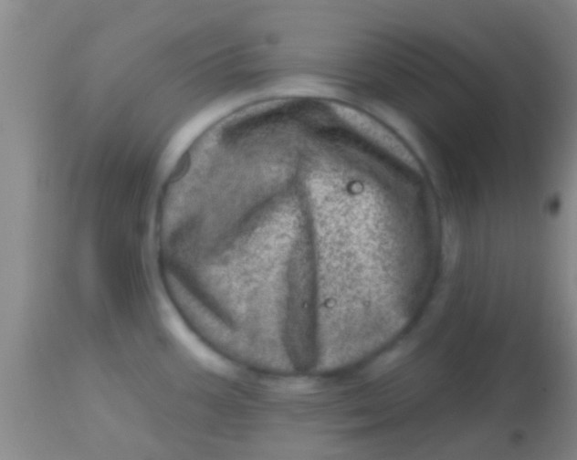 X0000113861387200910151225