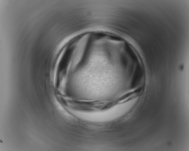 X0000113861388200910151225