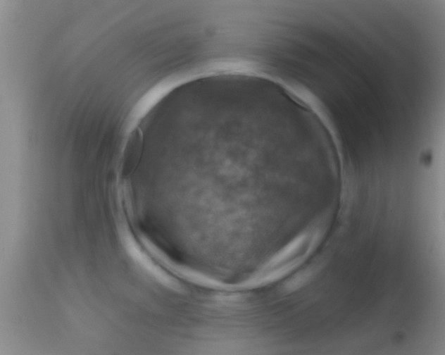 X0000113861389200910151225