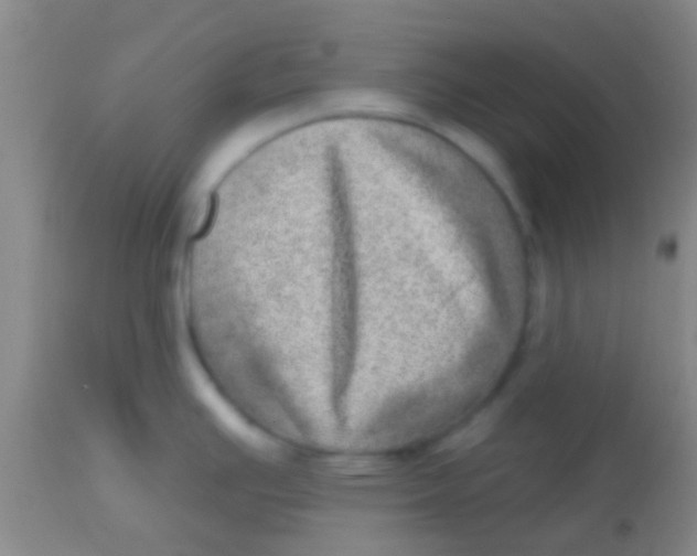 X0000113861391200910151225