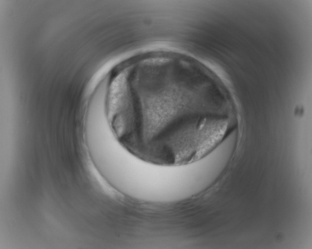 X0000113861392200910151225