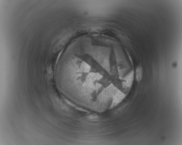 X0000113861395200910151225
