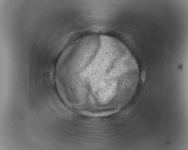 X0000113861396200910151225