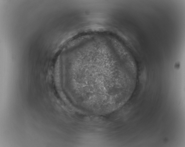 X0000113861397200910151225