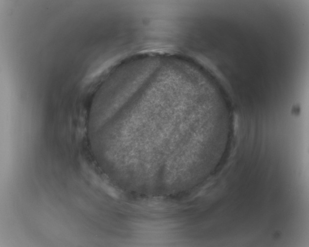 X0000113861399200910151225