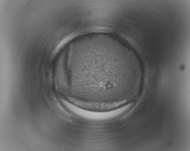 X0000113861402200910151225