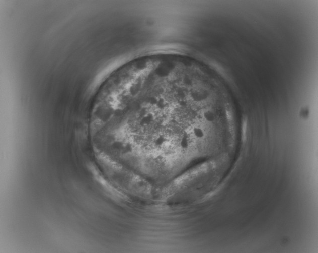 X0000113861405200910151225