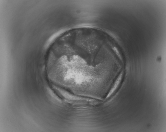 X0000113861406200910151225