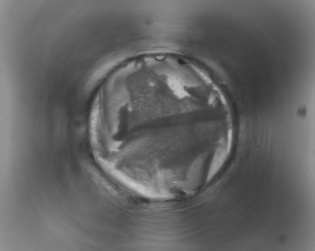 X0000113861407200910151225