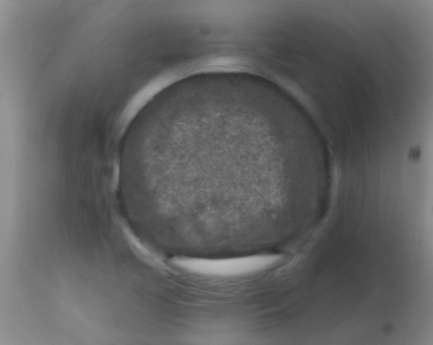 X0000113861413200910151225