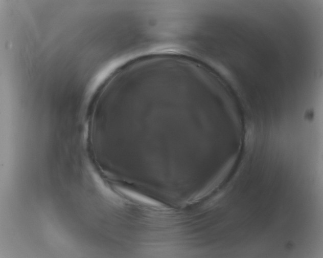 X0000113861414200910151225