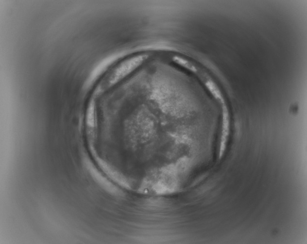 X0000113861416200910151225