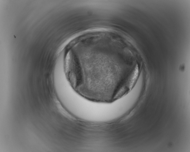 X0000113861417200910151225