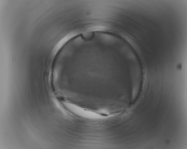 X0000113861418200910151225