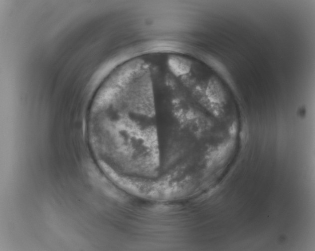 X0000113861419200910151225