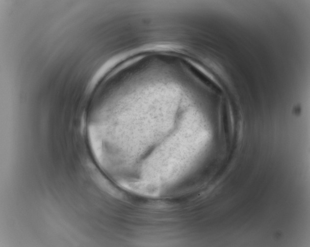 X0000113861420200910151225