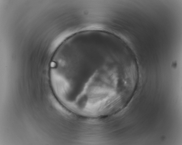 X0000113861422200910151225