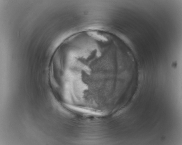 X0000113861423200910151225