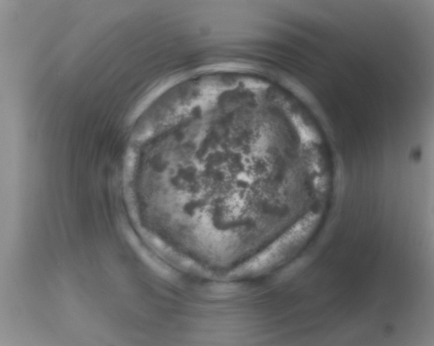 X0000113861425200910151225