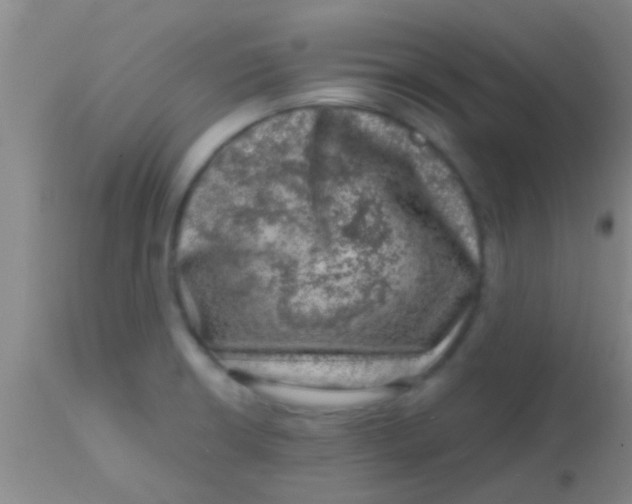 X0000113861426200910151225