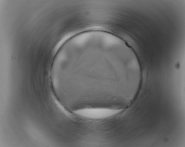 X0000113861428200910151225