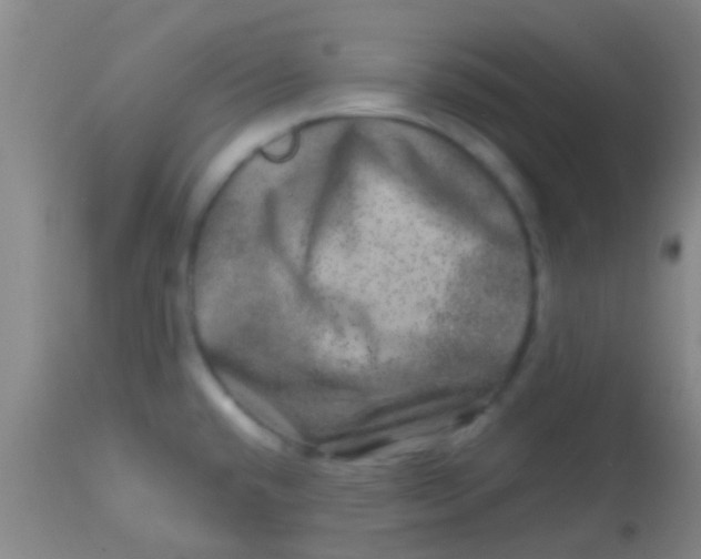 X0000113861432200910151225