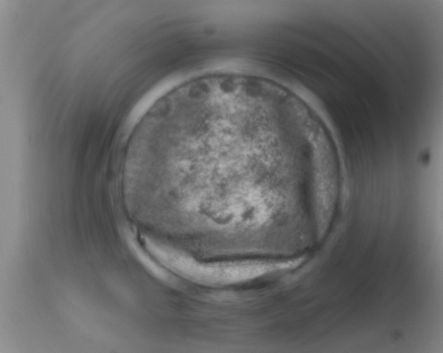 X0000113861437200910151225