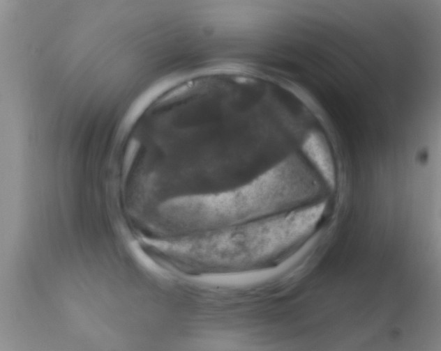 X0000113861438200910151225