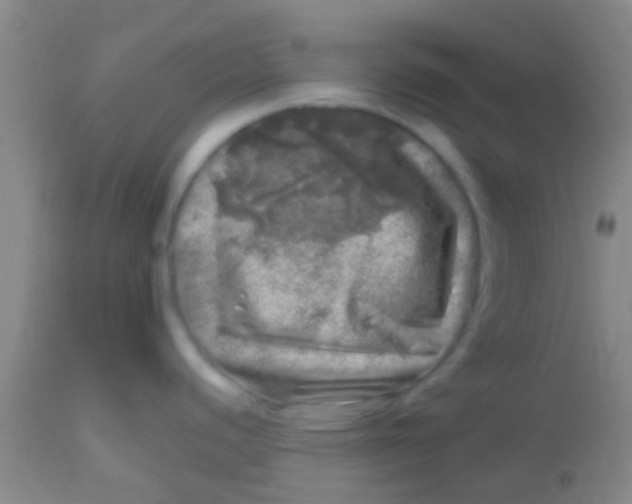 X0000113861440200910151225