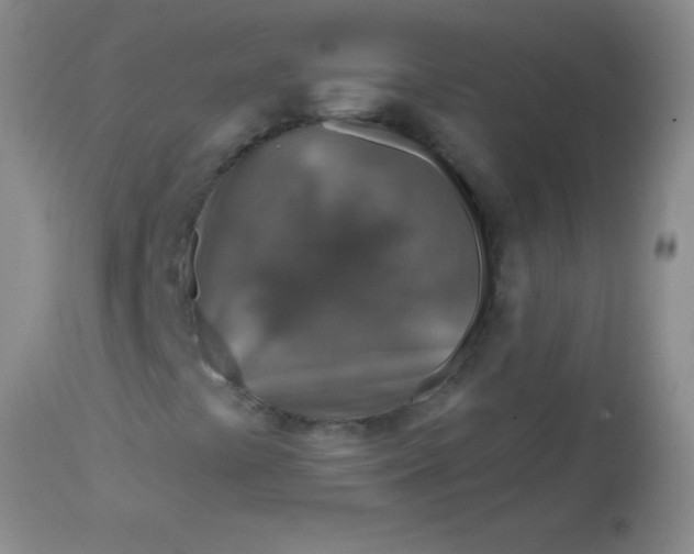 X0000113861441200910151225